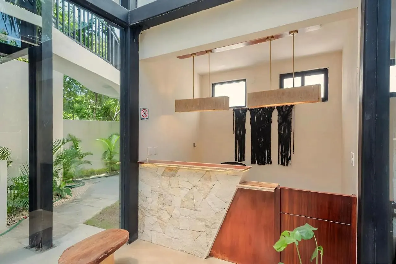 Apartament Rev Tulum